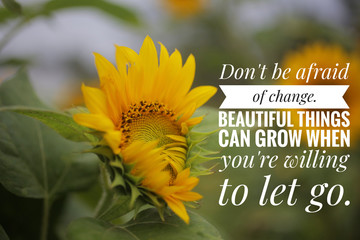 The True Cost of Discipleship