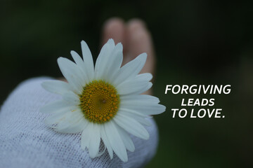 Unlimited Forgiveness