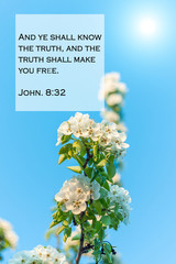 Knowing Who Jesus Is