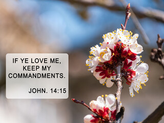 Living a Blessed Life