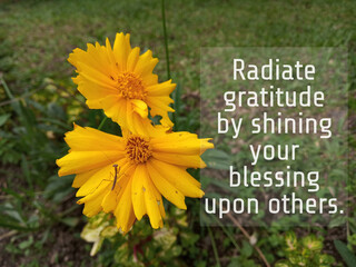 A Reservoir of Blessings