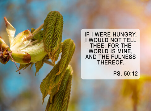 For Thine is the Kingdom