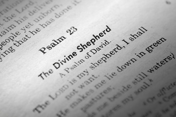 Because The Lord is My Shepherd