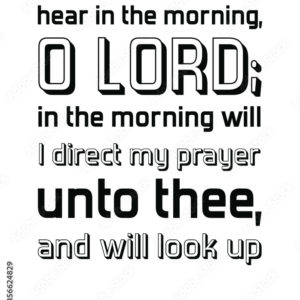 Looking to the Hills