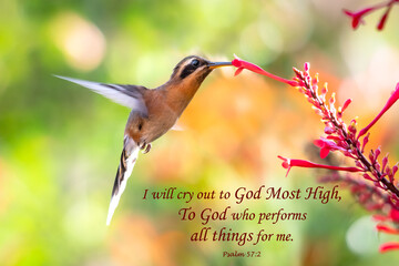 The Lord is Our Hope