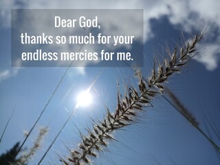 Brand New Mercies