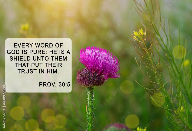 Our Shield of Protection