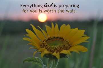 Waiting with Patience