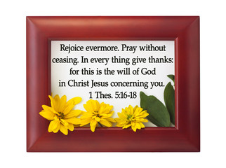 Rejoicing in the Lord