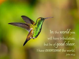 Our Great Encourager