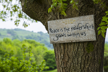 Mark the Perfect Man