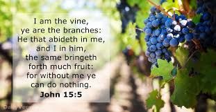 Bearing Much Fruit…