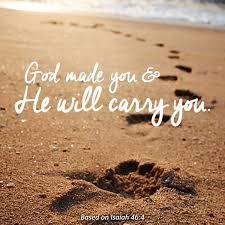 Alone In the Wilderness