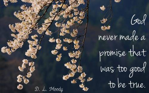 A Good and Loving Father