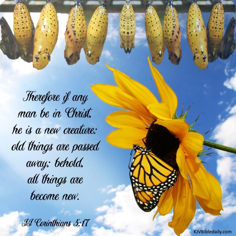 A Change has Come Over Me!