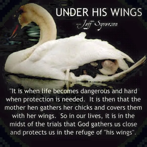 Our Shield of Protection Now and Forevermore!