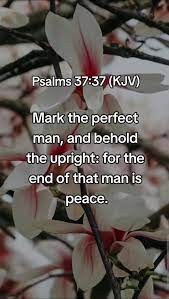 Mark the Perfect and Upright Man