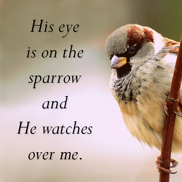 His Eye is on the Sparrow