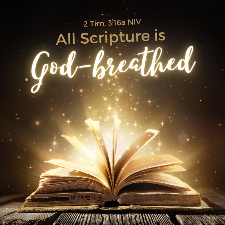 The B.I.B.L.E.: Basic Instructions Before Leaving Earth