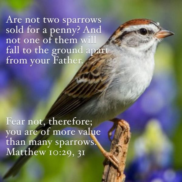 Our Everlasting Encourager