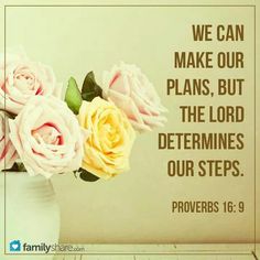 Order My Steps!